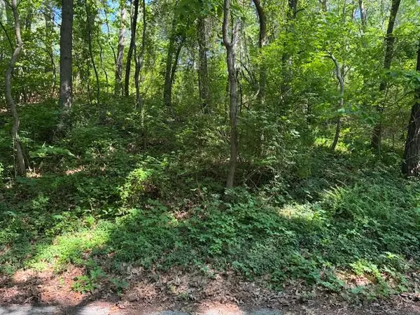 6 Lilac Lane, Grand Beach, MI 49117