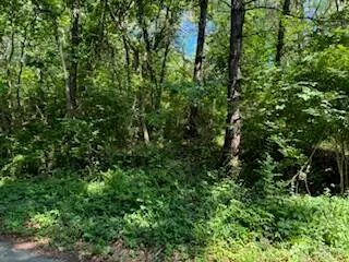 4 Lilac Lane, Grand Beach, MI 49117 - Image #1