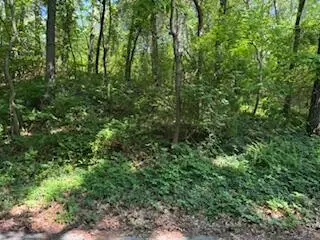 2 Lilac Lane, Grand Beach, MI 49117 - Image #1