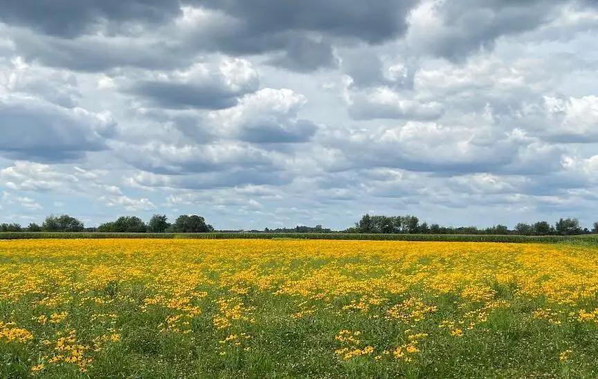 323 E 124 S, Valparaiso, IN 46383 - Image #2