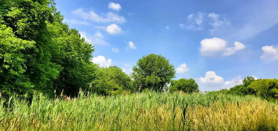 10010 Kennedy Avenue, Highland, IN 46322 - Image #3