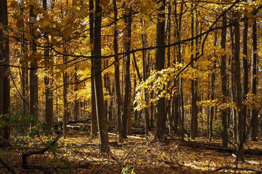 6862 N Nature Lane, La Porte, IN 46350 - Image #3