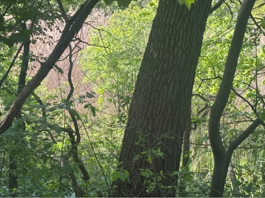 700 Van Buren Avenue, Hobart, IN 46342 - Image #3