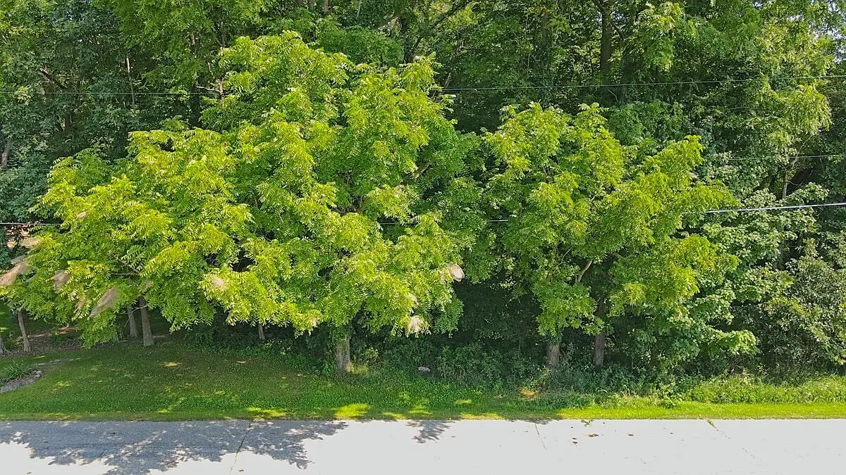 0 W 250 N, La Porte, IN 46350 - Image #1