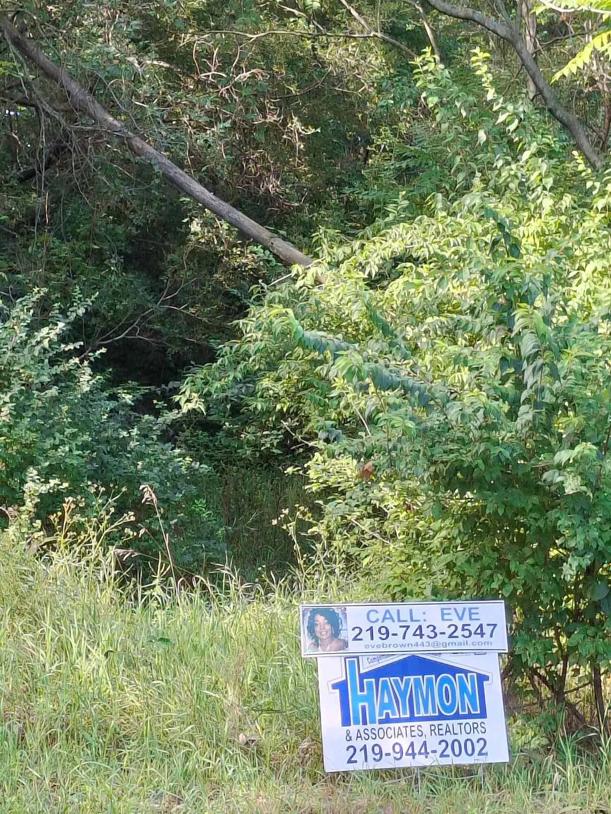 316 N Knox Street, Gary, IN 46403 - Image #1