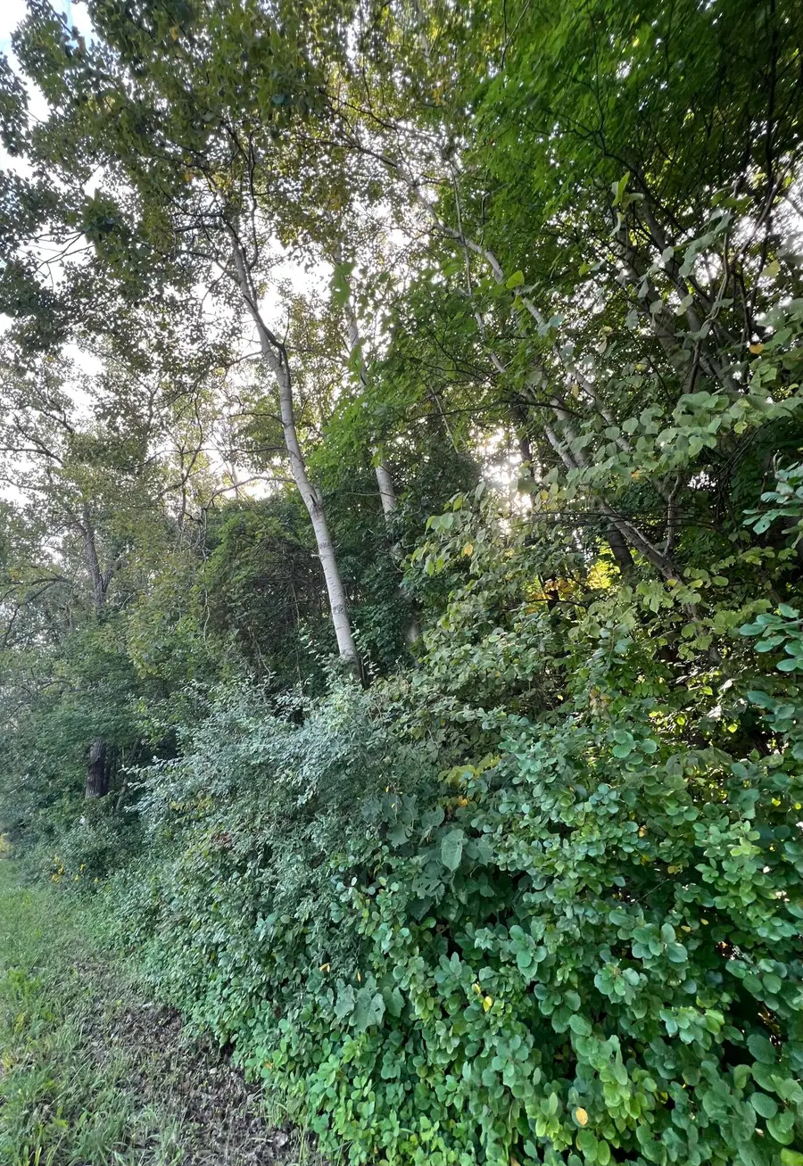 0 W 450 N, La Porte, IN 46350 - Image #2