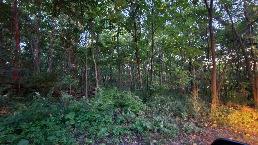 7302 Morse Lane, Cedar Lake, IN 46303 - Image #3