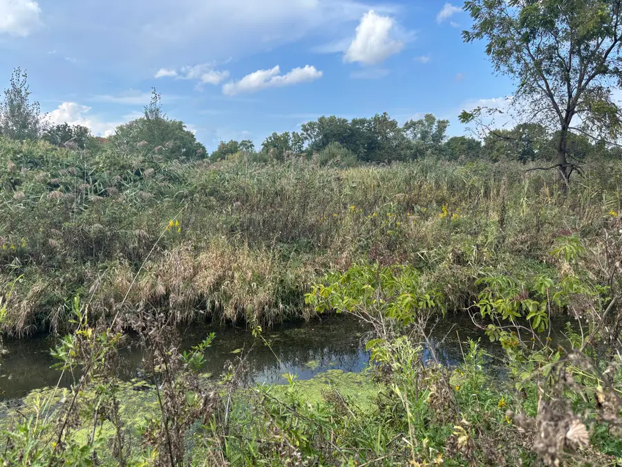 4300 Roosevelt Place, Gary, IN 46408 - Image #3