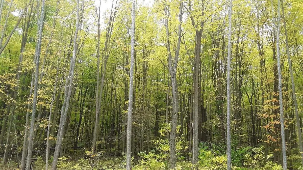 0 Meer Road, Michigan City, IN 46360 - #1