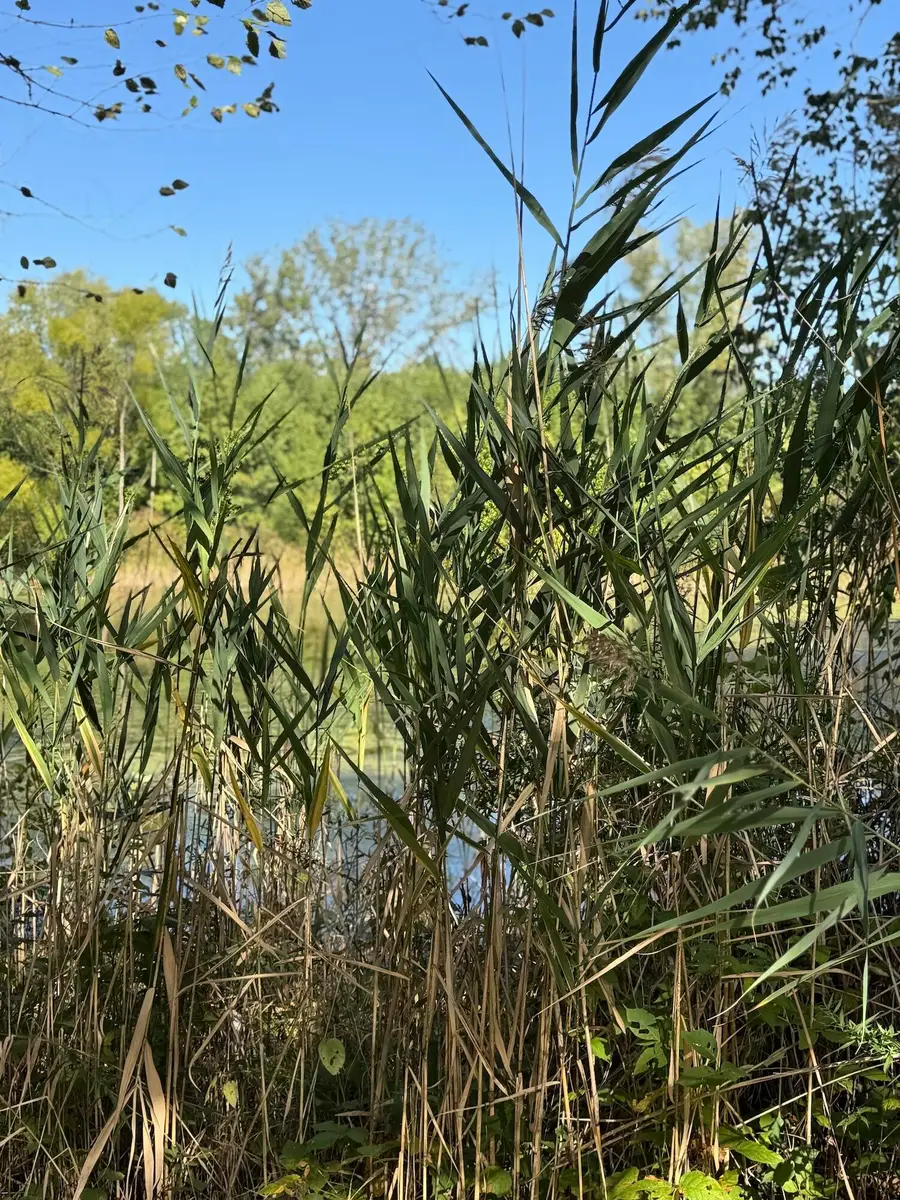 3152 Heavilin Road, Valparaiso, IN 46385 - Image #3