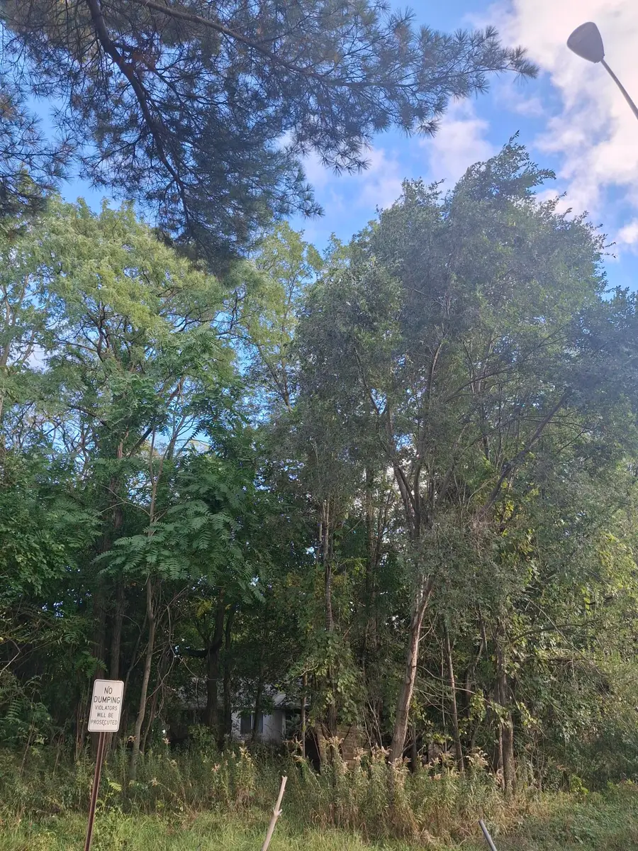 231-35 S Marion Street, Gary, IN 46403 - Image #3