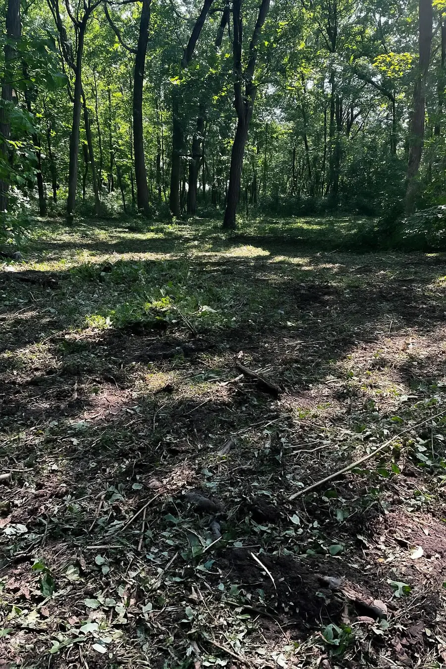 13933 Fairbanks Street, Cedar Lake, IN 46303 - Image #2