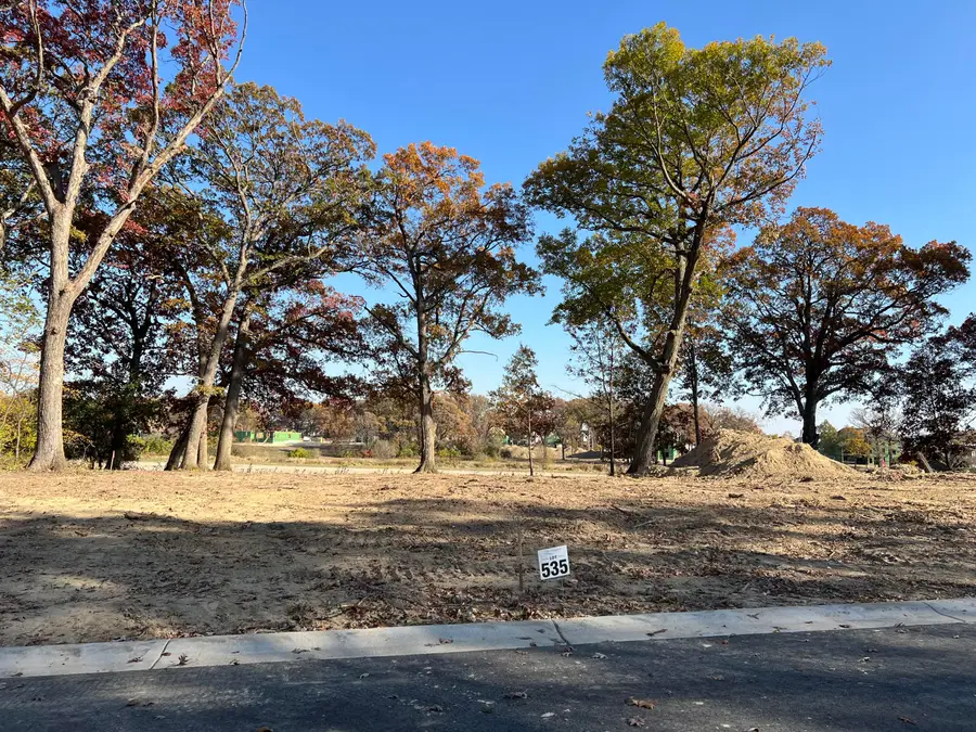 9635 Switch Grass Lane, Saint John, IN 46373 - Image #3