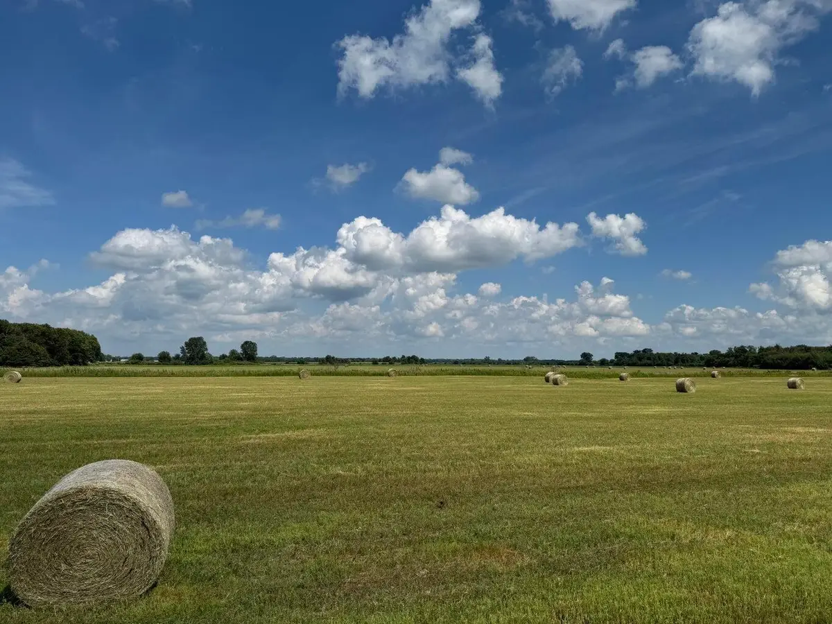 8165-8221 N St Rd 55, Lake Village, IN 46349 - Image #1