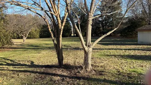 924 Fillmore Street, Shelby, IN 46377 - Image #3