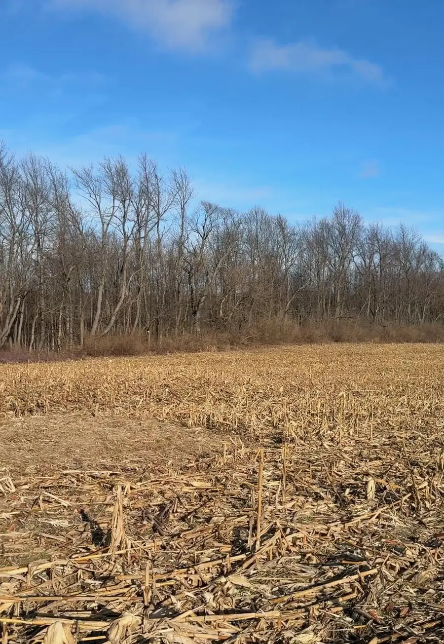 0 W 200 S, Westville, IN 46391 - Image #3