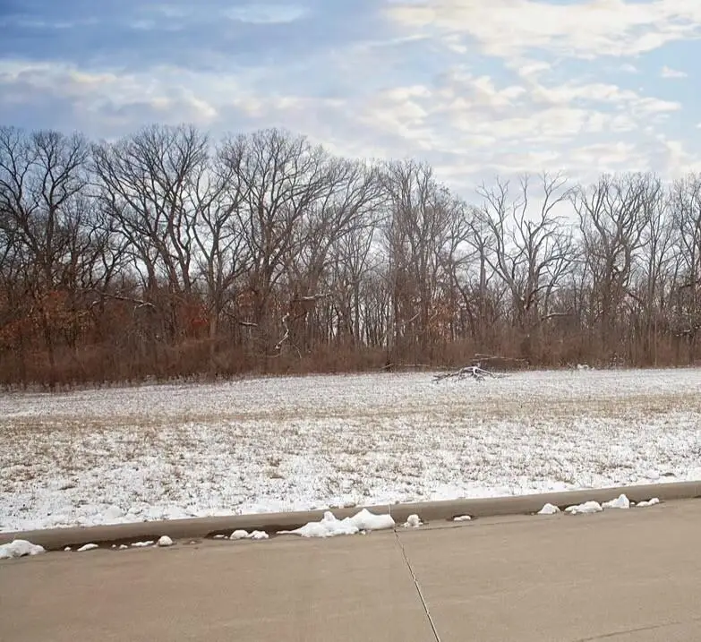 4182 167th Avenue, Lowell, IN 46356 - Image #1