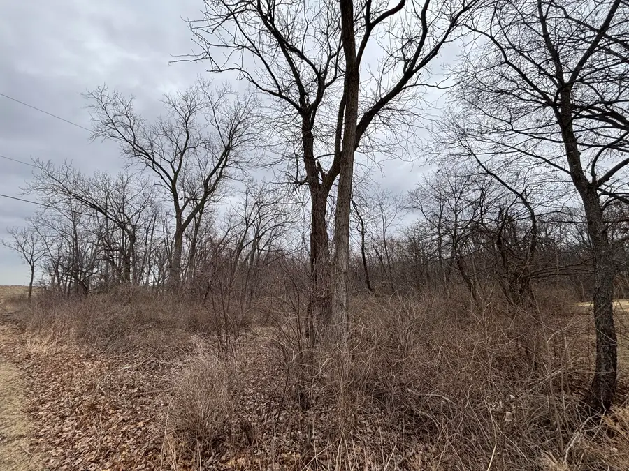 11905 Mccook Street, Cedar Lake, IN 46303 - #2