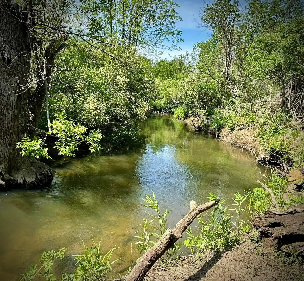 000 Grady Street, Chesterton, IN 46304 - #1