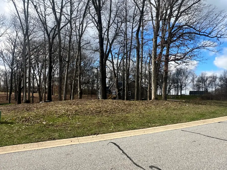 713 Druim Trail, Crown Point, IN 46307 - #3