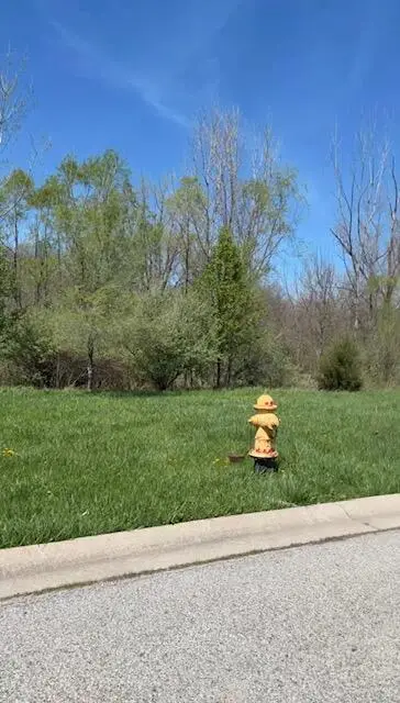 17498-17500 Susan Lane, Lowell, IN 46356 - #3