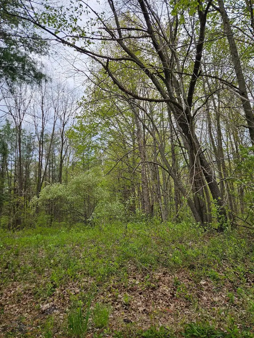 0 W 900 N, Michigan City, IN 46360 - #3
