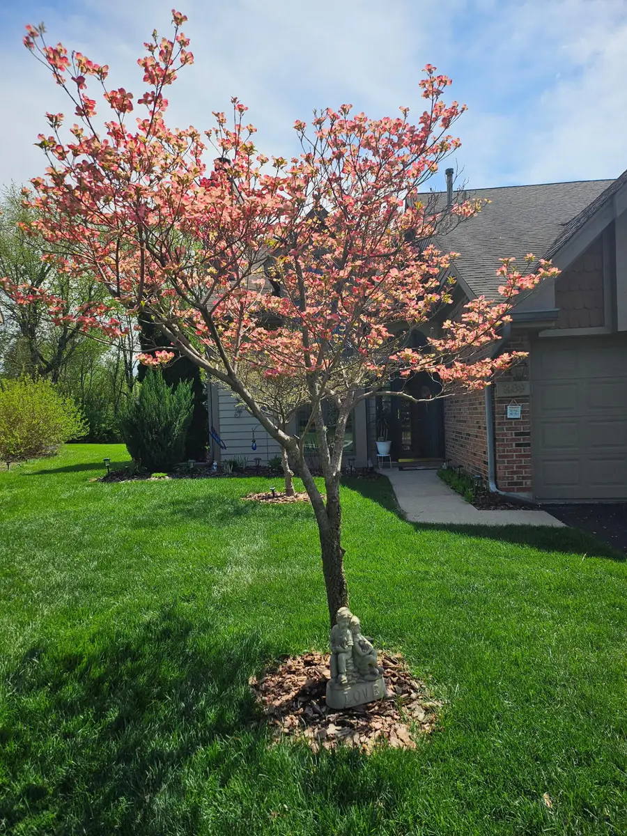 1489 Grand Isle Court, Hobart, IN 46342 - #3