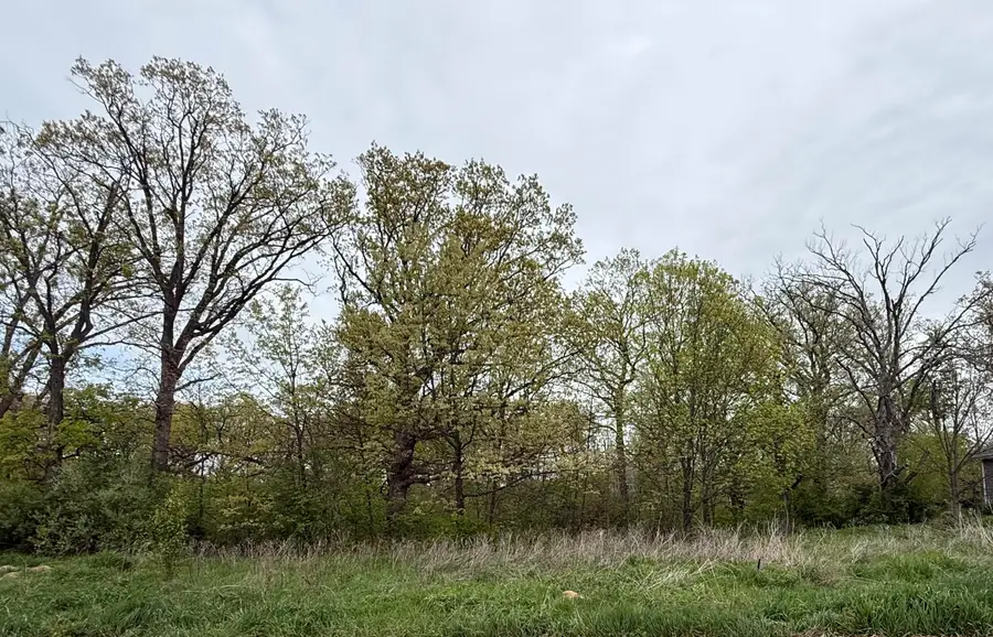 778 Ronny Court, Crown Point, IN 46307 - #2