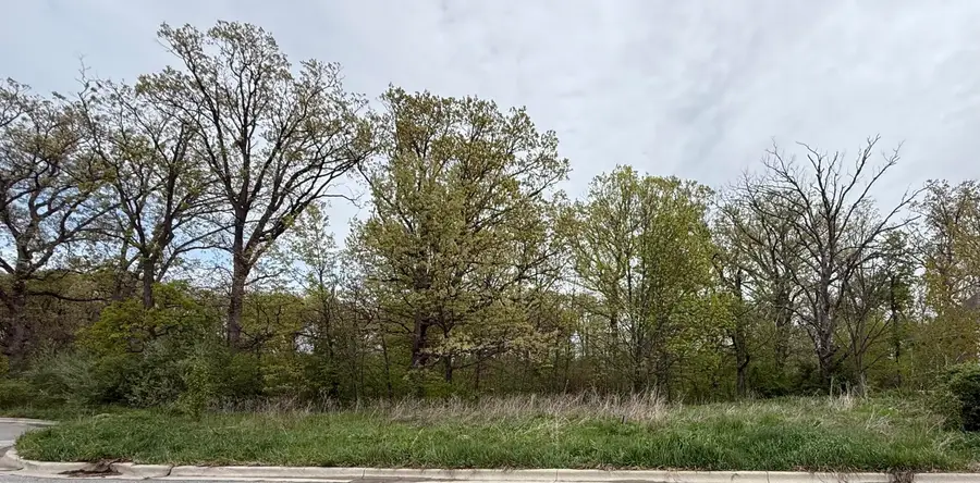 778 Ronny Court, Crown Point, IN 46307 - #3