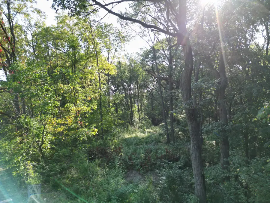 991 Greenview Drive, Crown Point, IN 46307 - #3