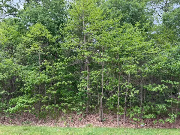 Vacant Lot 565 E, DeMotte, IN 46310