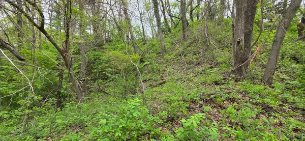 1068 Warrick Street, Gary, IN 46403