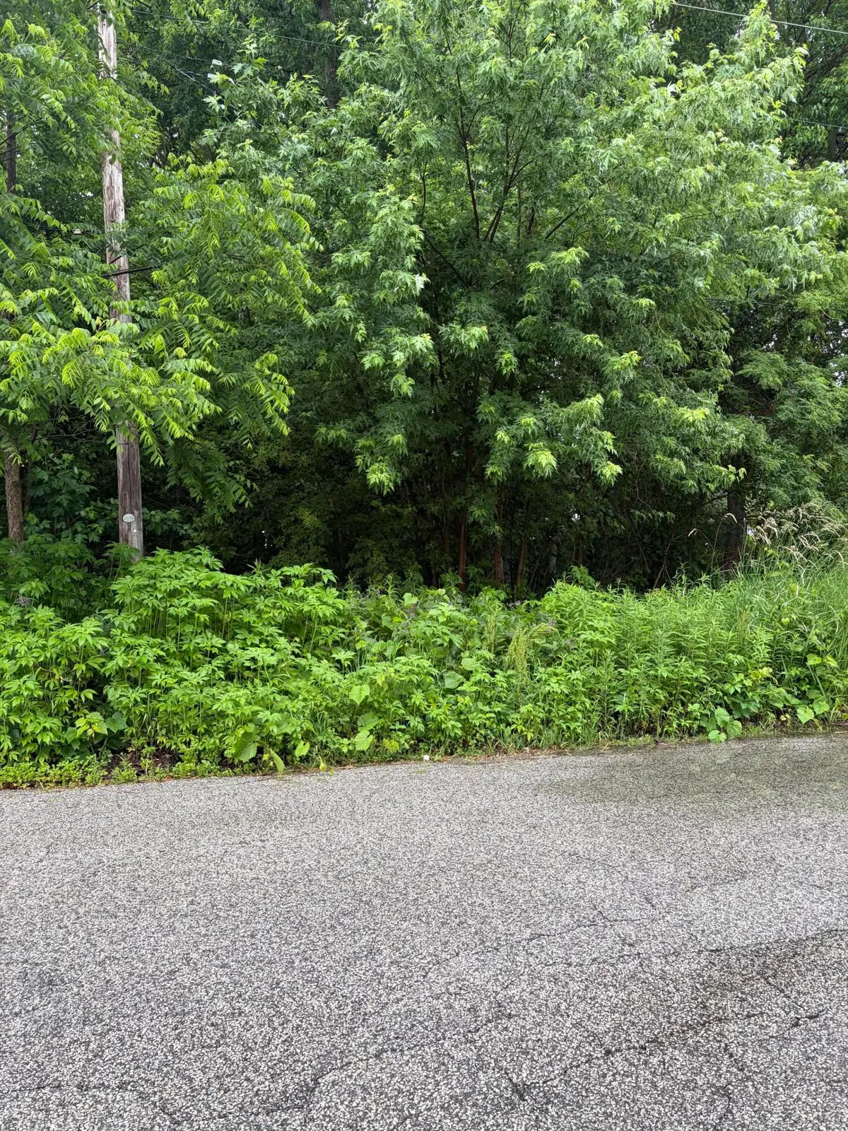 300 Harrison Avenue, Hobart, IN 46342 - #1
