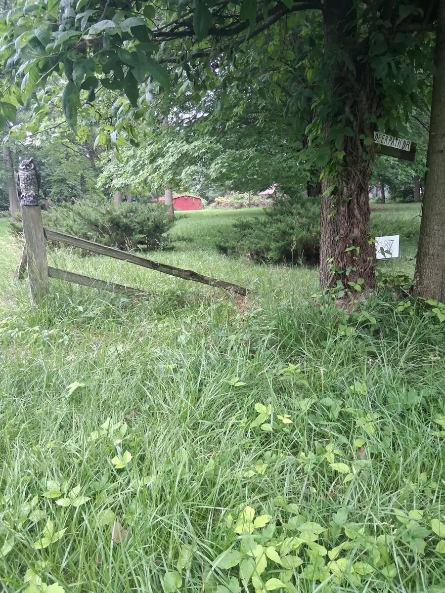 Lot 087 S Deer Path Drive, Bass Lake, IN 46534 - #2