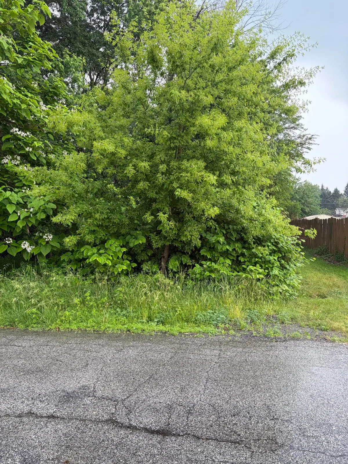 100 Garfield Avenue, Hobart, IN 46342 - #1