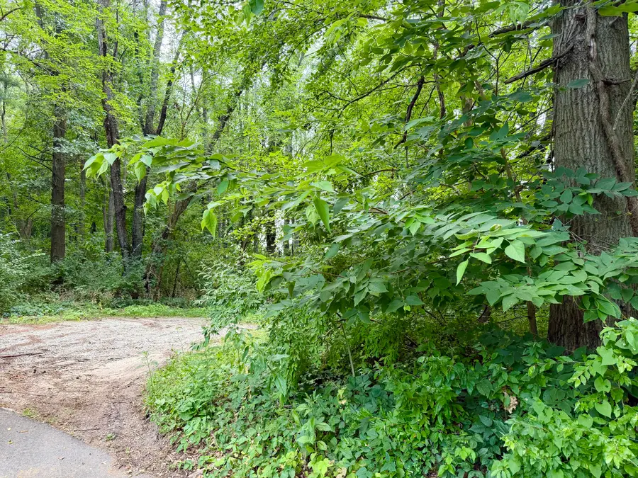 0000 Western Avenue, Fish Lake, IN 46574 - #2
