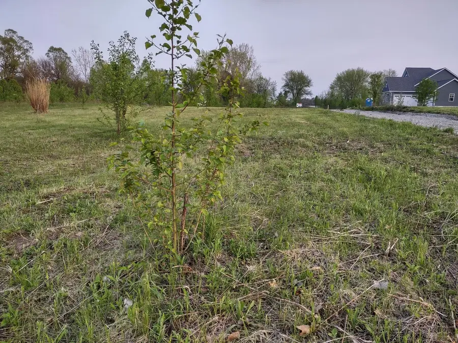 11 N 281 W, Valparaiso, IN 46385 - #2