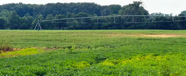 1200 E County Road 1200 E, Grovertown, IN 46531
