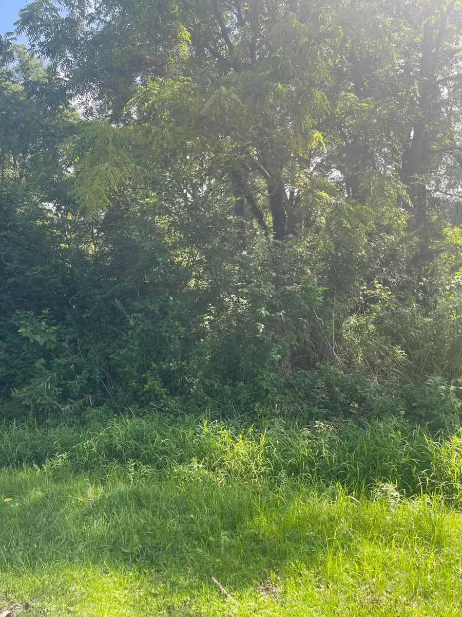 4411 Chase Street, Gary, IN 46408 - #2