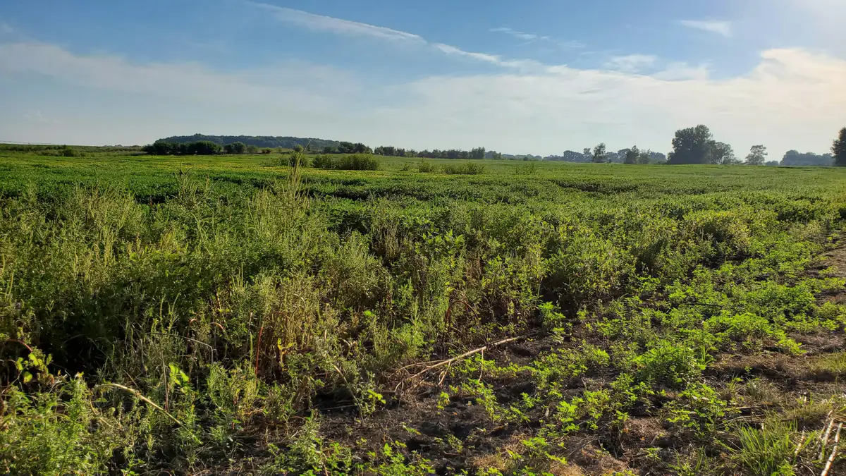 000 N County Road 200 W, Rensselaer, IN 47978 - #1