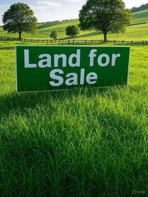 2393 Richard Gordon Hatcher Blvd, Gary, IN 46404