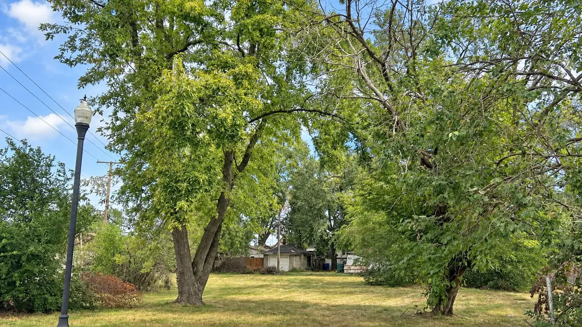 5321 Maywood Avenue, Hammond, IN 46320 - #1