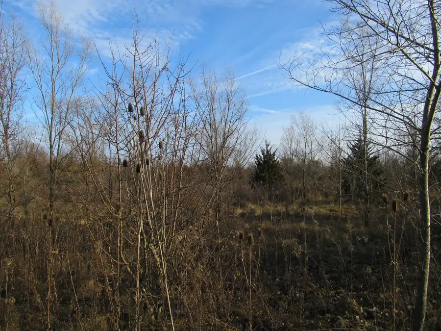 0-lot 8 Grant Street, Merrillville, IN 46410 - #2