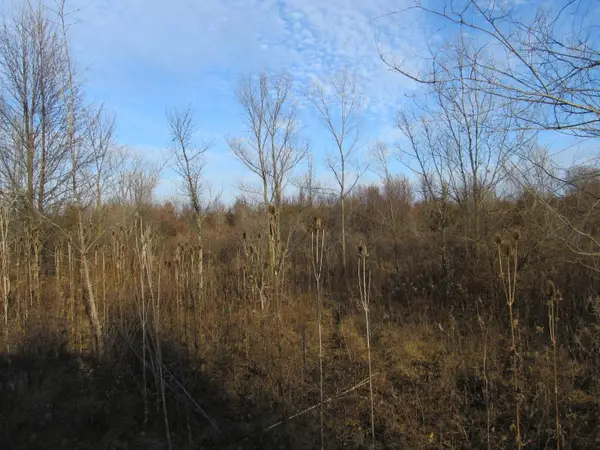 0-lot 9 Grant Street, Merrillville, IN 46410