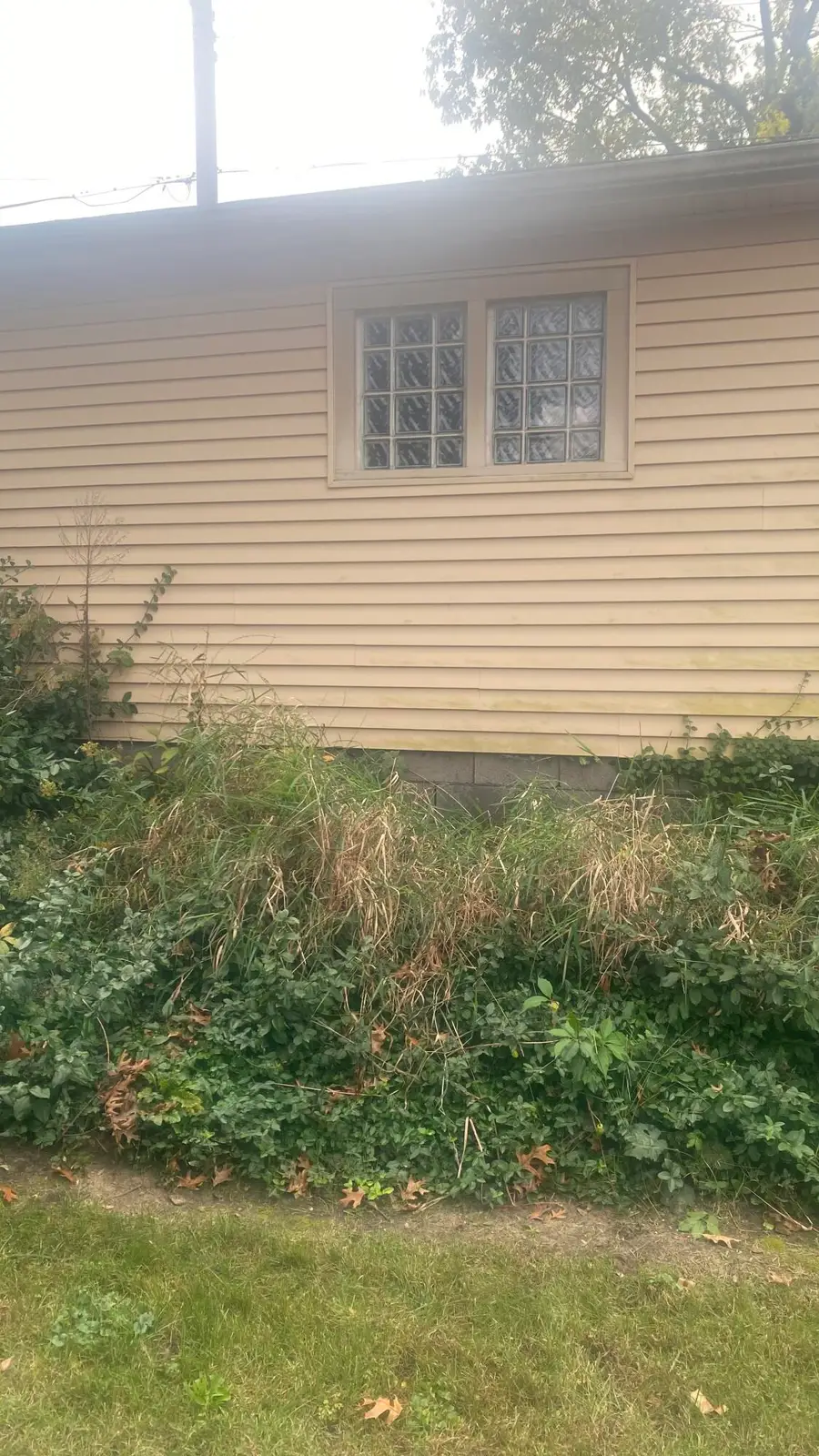 1311 W 45th Avenue, Gary, IN 46408 - #3