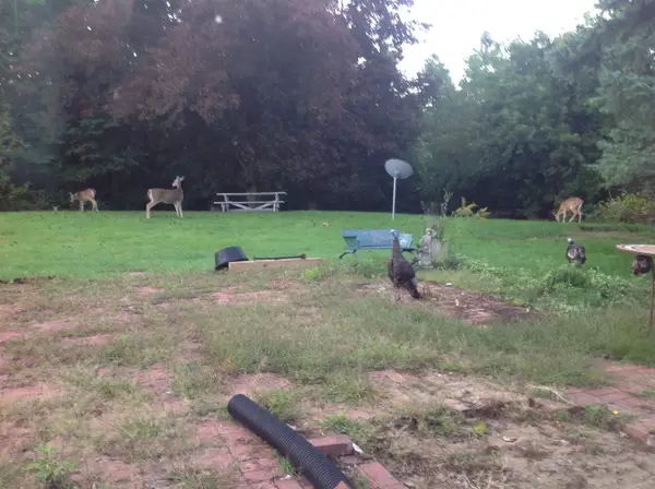 60870 E Rue Du Lac East Drive, South Bend, IN 46614