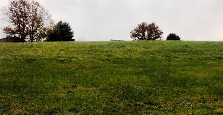 2945 N Morning Glory Avenue, Rolling Prairie, IN 46371 - Image #1