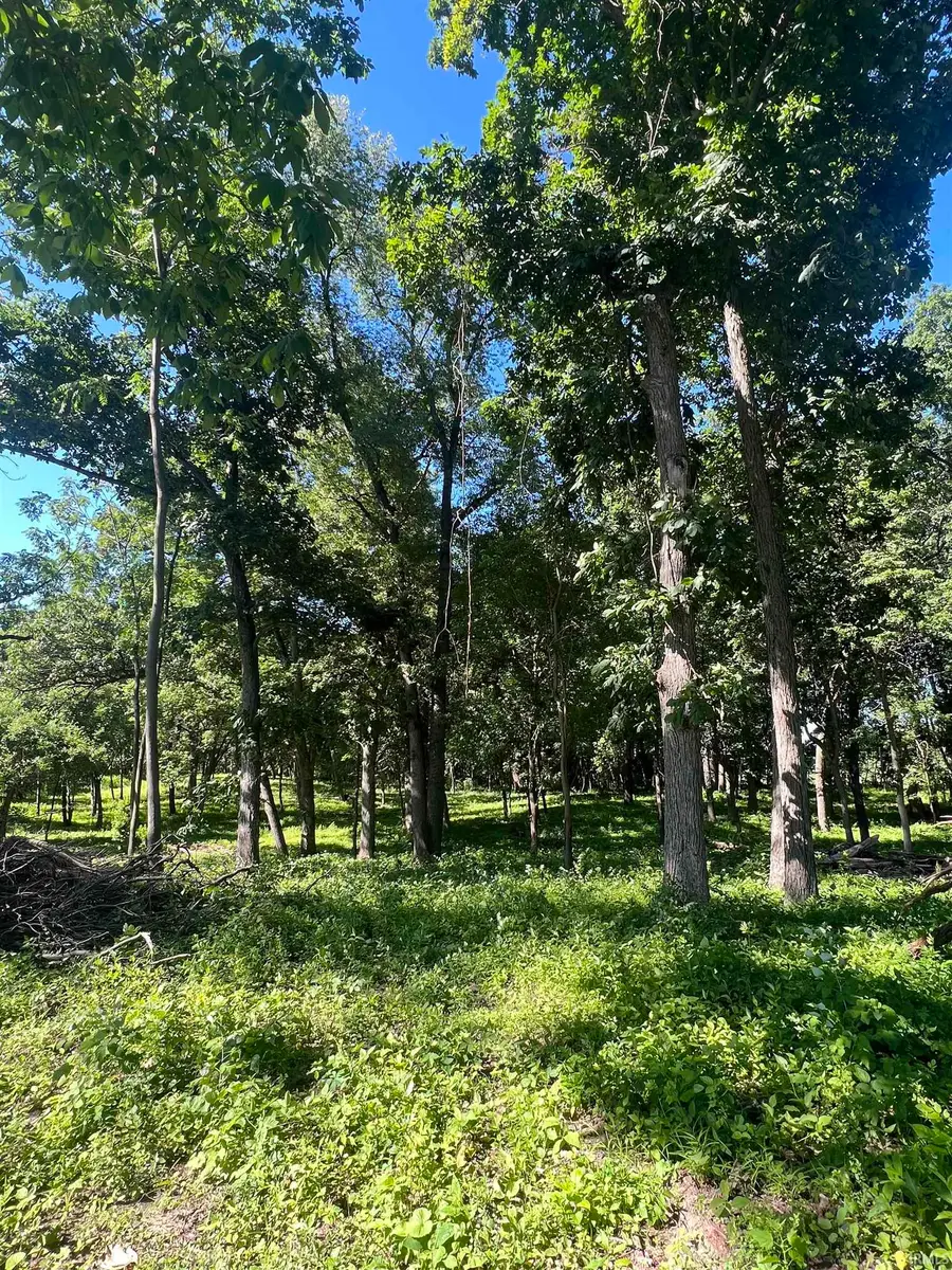 25226 Adams Road, South Bend, IN 46628 - Image #2