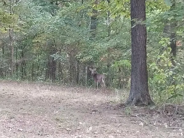 Sandstone Lane, Cannelton, IN 47520