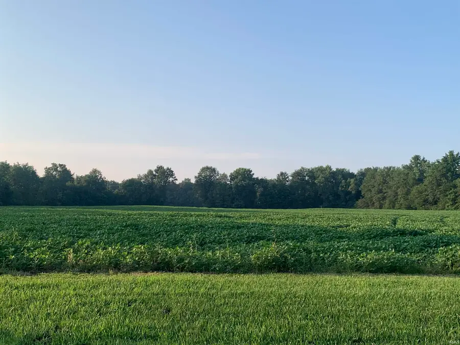 5141 E 300 S Road, Hartford City, IN 47348 - Image #3